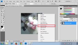 Rectangular Marquee Tool 2.jpg