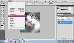 Rectangular Marquee Tool 3.jpg