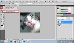 Single Column Marquee Tool 1.jpg