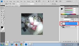 Single Column Marquee Tool 2.jpg