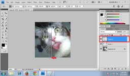 Single Column Marquee Tool 3.jpg