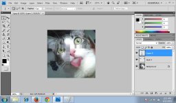 Single Column Marquee Tool 4.jpg