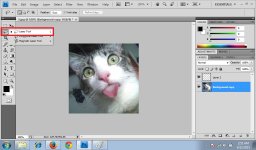 Lasso Tool 1.jpg