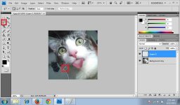 Lasso Tool 2.jpg