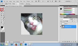 Lasso Tool 4.jpg