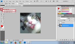 Polygonal Lasso Tool 1.jpg