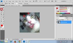 Polygonal Lasso Tool 3.jpg