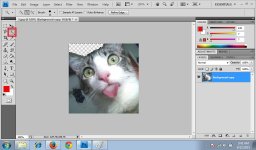 Quick Selection Tool 5.jpg