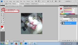 Magic Wand Tool 1.jpg