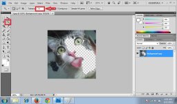 Magic Wand Tool 3.jpg