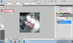 Crop Tool 1.jpg