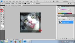 Crop Tool 2.jpg