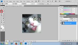 Crop Tool 3.jpg