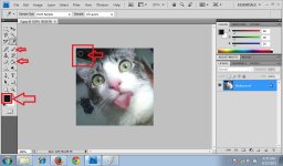 Eyedroped Tool 2.jpg