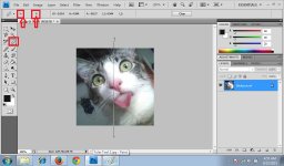 Tuler Tool 2.jpg