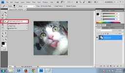 Spot Healing Brush Tool 1.jpg