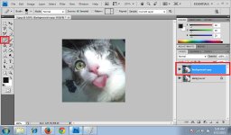 Healing Brush Tool 2.jpg