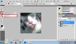 Patch Tool 1.jpg