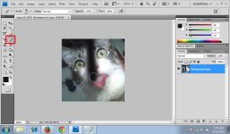 Brush Tool 2.jpg