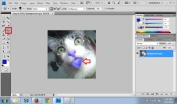 Color Replacement Tool 2.jpg