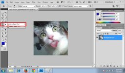 Clone Stamp Tool 1.jpg