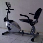 recumbent big bike.jpg