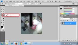 History Brush Tool 1.jpg