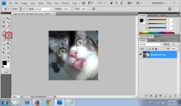 History Brush Tool 2.jpg