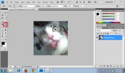 Art History Brush Tool 2.jpg