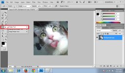 Eraser Tool 1.jpg