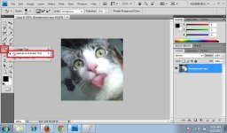 Background Eraser Tool 2.jpg