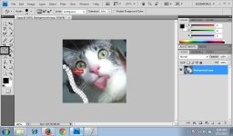 Background Eraser Tool 3.jpg