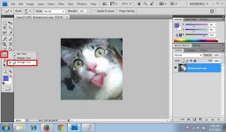 Smudge Tool 1.jpg