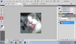 Smudge Tool 2.jpg