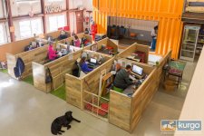 dog-friendly-workplace-2.jpg