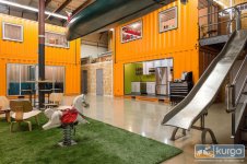 dog-friendly-workplace-5.jpg