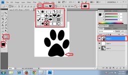Custom Shape Tool 2.jpg