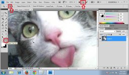 Zoom Tool 1.jpg