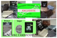 hernia butterflyy.jpg