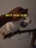 Foto-0003.jpg