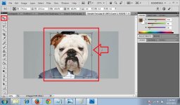 04.FaceAnimal04.jpg