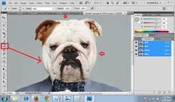 08.FaceAnimal.jpg