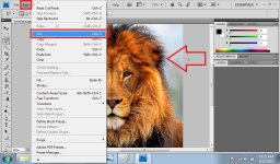 03.HumanLion.jpg