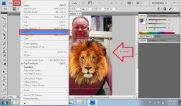 05.HumanLion.jpg