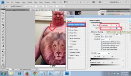 08.HumanLion.jpg