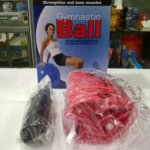 Gym_Ball_75cm_Exercise_Ball_Yoga_Ball_In.jpg