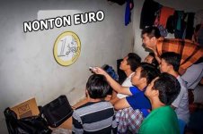 MEME EURO 2.jpg