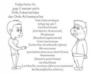 bakteri 2.jpg
