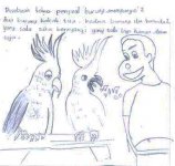 burung kakak tua meme lucu kocak gokil ngakak comel (1).jpg