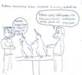 burung kakak tua meme lucu kocak gokil ngakak comel (2).jpg